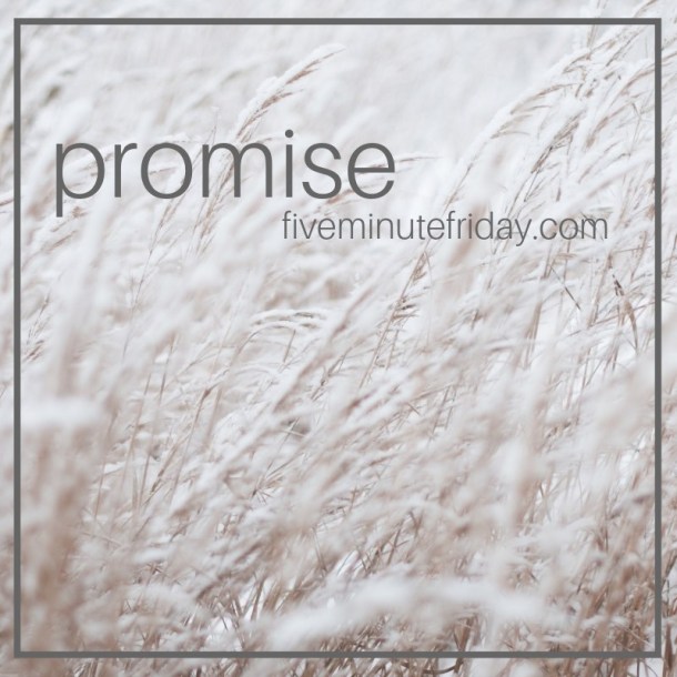 promise1